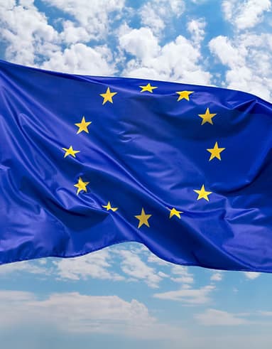 European Union Flag